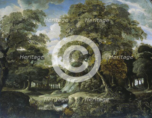 View in the Woods, 1660-1690. Creator: Jan van der Heyden.