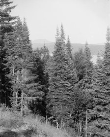 Blue Mountain from the crags, Adirondack Mts., N.Y., between 1900 and 1910. Creator: Unknown.