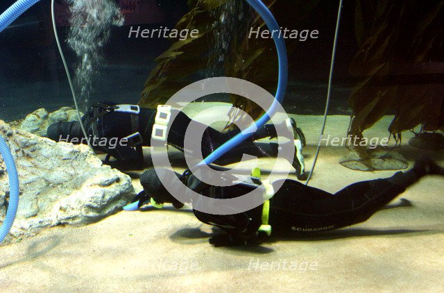 Aquarium cleaners, Loro Parque, Tenerife, Canary Islands, 2007.