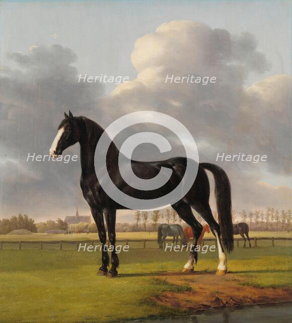 Adriaan van der Hoop’s Trotter ‘De Vlugge’ (The Fast One) in a Meadow, 1828. Creator: Anthony Oberman.