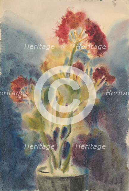 Red flower, 1930-1935. Creator: Zolo Palugyay.