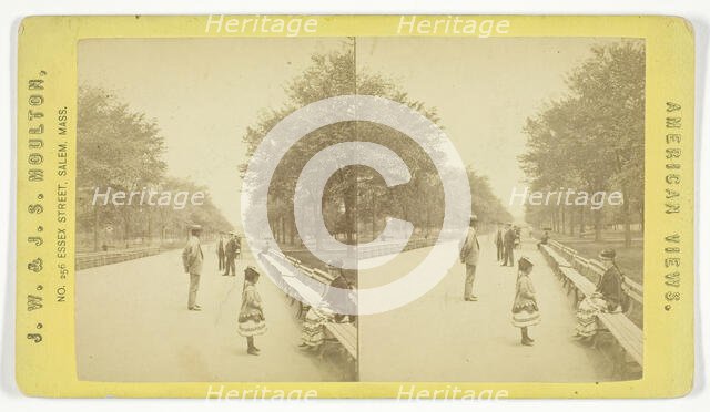 The Mall, 1873/81. Creator: J.W. & J.S. Moulton.