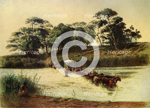 'Bullock Waggon Crossing a Drift on the Umbelois River-Swaziland', 1902. Creator: Donald McCracken.