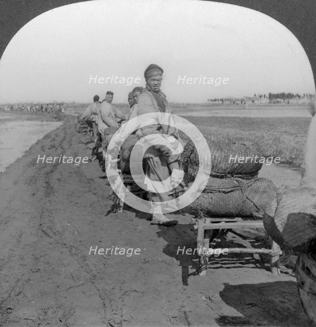 'Conveying salt to the interior by wheelbarrow train', China, 1907. Artist: Keystone View Company
