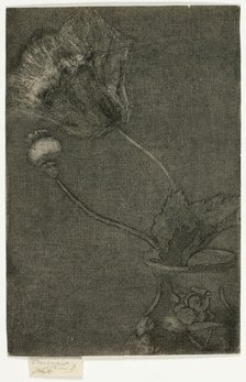 Poppy in a Vase, 1890-95. Creator: Theodore Roussel.