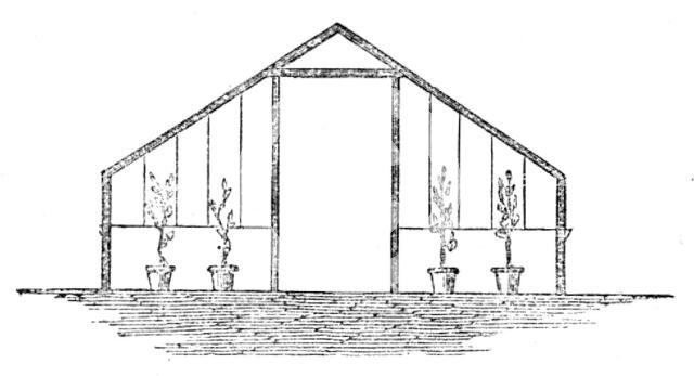 The International Exhibition: section of River's short-span glass orchard, 1862. Creator: Unknown.