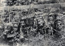 Sarawak: preserved and decorated human heads taken and strung up by Sea Dayaks, c1900. Creator: Unknown.