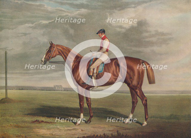 'Velocipede, Winner of the St. Leger, 1828', c1828, (1929). Artists: Edward Duncan, J Webb.