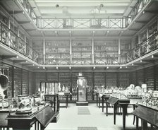 39-43 Lincoln's Inn Fields, Westminster LB, London: Royal College of Surgeons, museum room 2, 1911. Creator: Unknown.