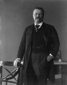 President Theodore Roosevelt, 1902. Creator: Frances Benjamin Johnston.