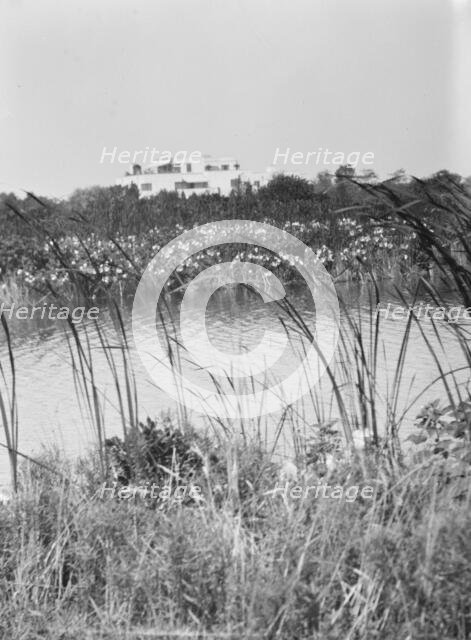 House and grounds of "The Shallows," property of Lucien Hamilton Tyng, Southampton, Long Island, 193 Creator: Arnold Genthe.