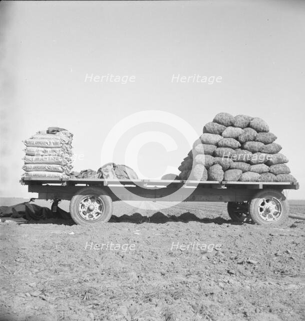 Supply of fertilizer and potato seed on edge of field..., Kern County, California, 1939. Creator: Dorothea Lange.