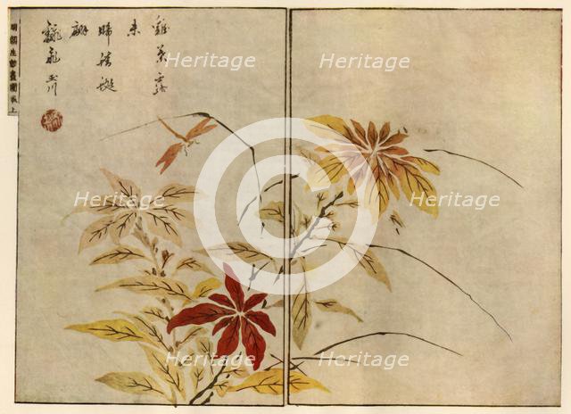 Dragonfly with plants, 1746, (1924).  Creator: Ooka Shunboku.