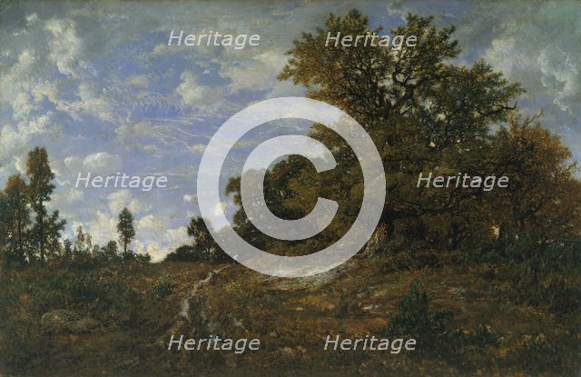 The Edge of the Woods at Monts-Girard, Fontainebleau Forest, 1852-54. Creator: Theodore Rousseau.