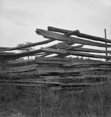 Construction detail of rail fence, Person County, North Carolina, 1939. Creator: Dorothea Lange.