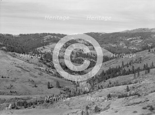 Upper end of Squaw Creek Valley..., Ola self-help sawmill co-op, Gem County, Idaho, 1939. Creator: Dorothea Lange.