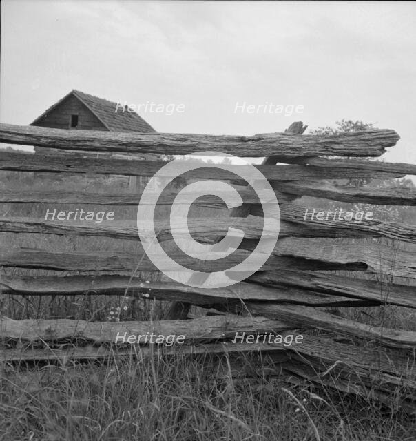 Construction detail of rail fence, Person County, North Carolina, 1939. Creator: Dorothea Lange.