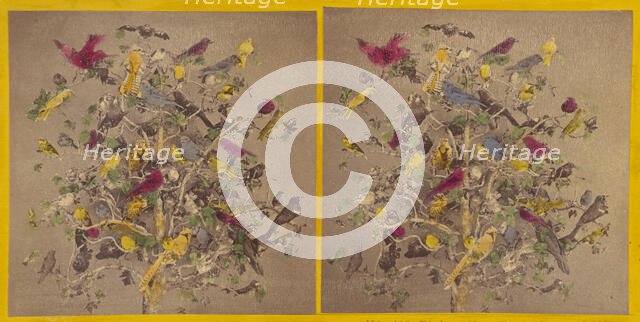 Birds of New England, about 1865. Creator: Benjamin West Kilburn.