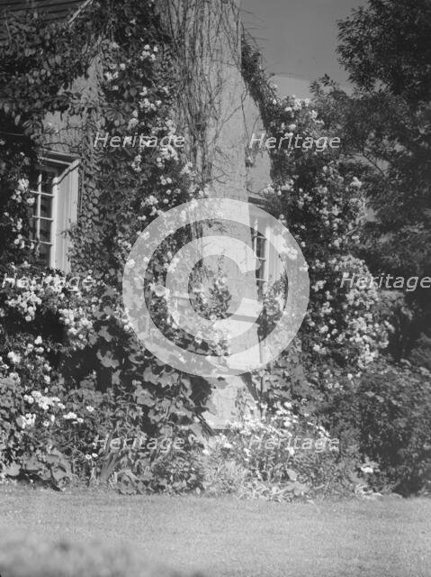 Residence of Mr. Hamilton King, 1934 July. Creator: Arnold Genthe.