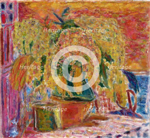 Mimosa Bouquet, ca 1945.