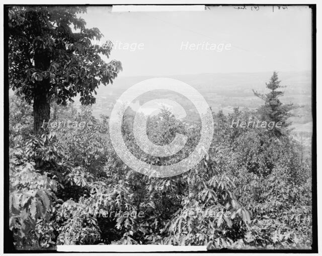 Binghamton, N.Y., c1900. Creator: Unknown.
