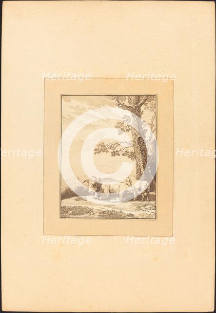 Cow Resting, published 1782. Creator: Regina Schönecker.