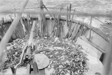 Police - destroyed guns[?], 1914. Creator: Bain News Service.