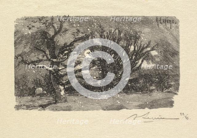 Fontainebleau Forest: Au dormoir de Lantara (La Forêt de Fontainebleau: Au dormoir de Lantara), 1890 Creator: Auguste Louis Lepère (French, 1849-1918); A. Desmoulins, Published in Revue Illustrée, 1887-90.