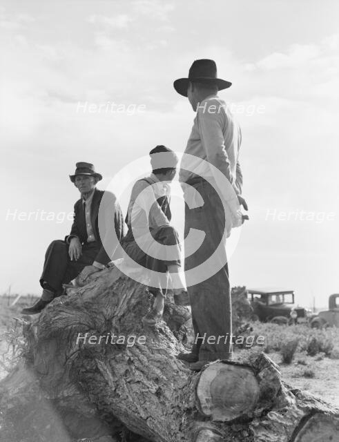 Migratory laborers, near Shafter, California, 1938. Creator: Dorothea Lange.