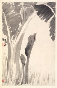 Banana Plants, 1788. Creator: Min Zhen (Chinese, 1730-after 1788).