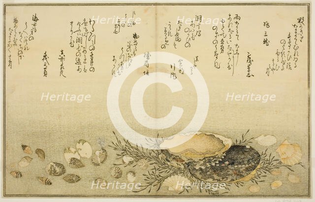 Chidori-gai, itaya-gai, awabi, utsuse-gai, asari-gai, and monoara-gai, from the illustrated...,1789. Creator: Kitagawa Utamaro.