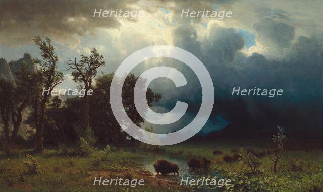Buffalo Trail: The Impending Storm, 1869. Creator: Albert Bierstadt.