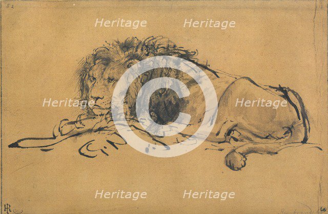 Lion Resting, Turned to the Left, c1650. Artist: Rembrandt Harmensz van Rijn    