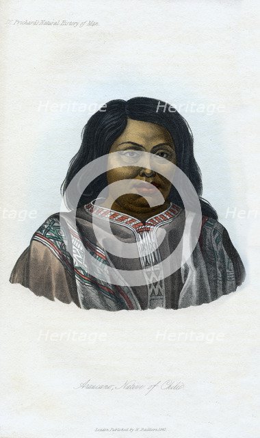 'Araucano, Native of Chili', 1848. Artist: Unknown