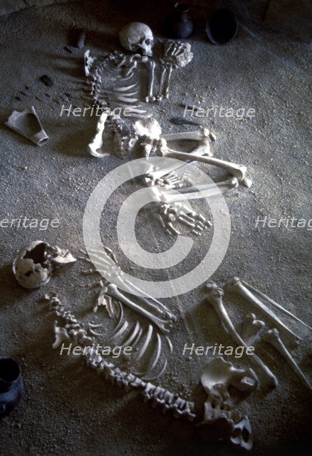Collective burial, necropolis Ponte San Pietro (Lazio), detail of two adult skeletons of a man an…