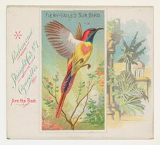 Fiery-Tailed Sun Bird, from Birds of the Tropics series (N38) for Allen & Ginter Cigarette..., 1889. Creator: Allen & Ginter.