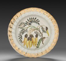 Plate from Dessert Service: Winged Podded Sophora, c. 1800. Creator: Derby (Crown Derby Period) (British).