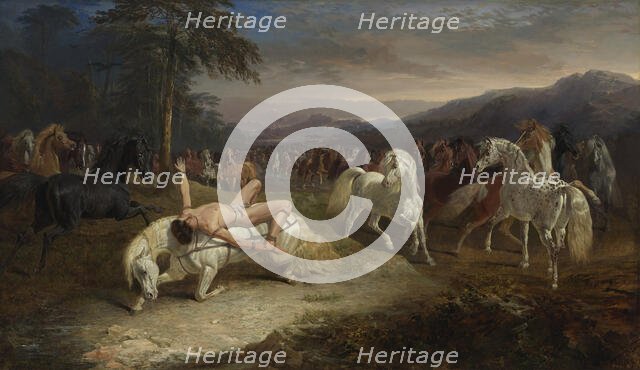 Mazeppa, 1842. Creator: Herring, John Frederick, Sr. (1795-1865).