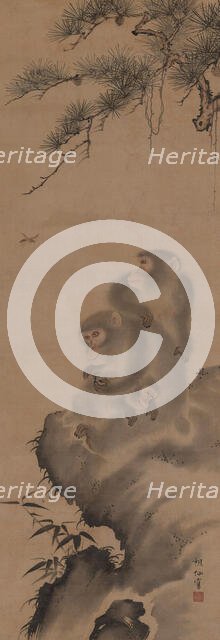 Family of monkeys, 18th century. Creator: Sosen; Mori (1747-1821).