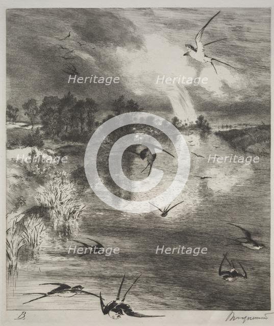 Swallows, 1882. Creator: Félix Bracquemond (French, 1833-1914).