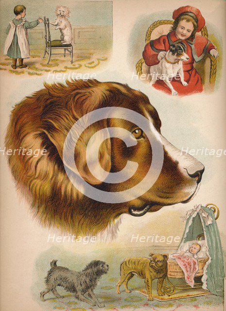 'The Dog', c1900. Artist: Helena J. Maguire.