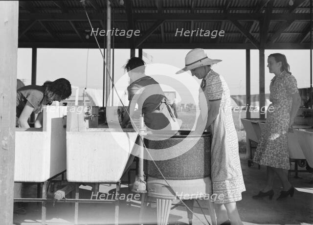Laundry facilities in FSA migrant labor camp, Westley, California, 1939. Creator: Dorothea Lange.