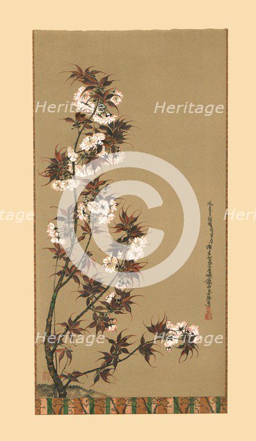 'The Cherry Blossoms of Mikawa', 19th century, (1886). Artist: Wilhelm Greve.