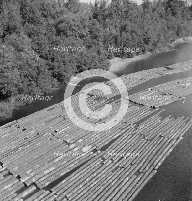 Log rafts on the Williamette River between Salem and Independence, Oregon, 1939. Creator: Dorothea Lange.