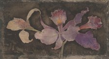 Purple orchid, 1876-1951. Creator: Theodorus Willem Nieuwenhuis.