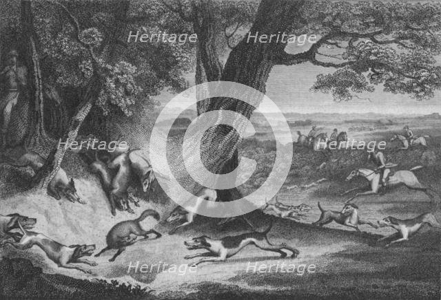 'Death of the Fox', 1793. Creator: Thomas Cook.