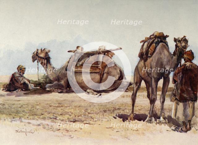 'Study of Camels and Attendants', 1902. Creator: John Fulleylove.