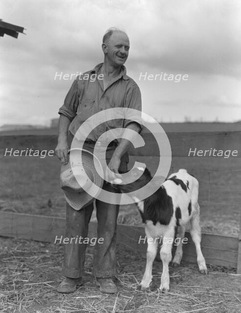 Rural Rehabilitation Administration client, Hayward, California, 1936. Creator: Dorothea Lange.