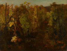 La Vigne [The Vine], 1860-1863. Creator: Charles Francois Daubigny.