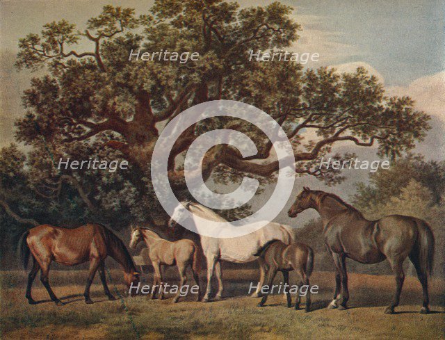 'Brood Mares and Foals', late 18th century, (1922). Artist: George Townley Stubbs.